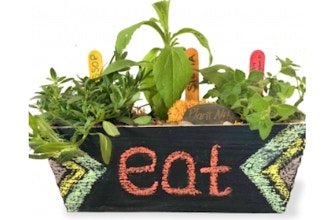 Plant Nite: Herb in Wooden Rectangle with Chalkboard